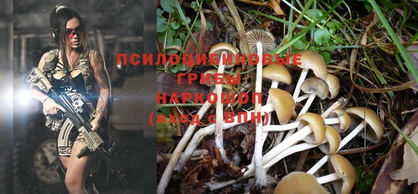 jwh Володарск